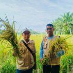 Peringati Hari Pangan, PMP Konsisten Gandeng Petani Jaga Ketahanan Pangan​