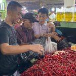 Sinergi PMP dan Satgas Inflasi Mampu Tekan Harga Cabai Merah di Pasar Petisah