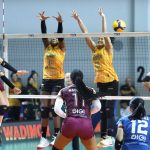 Proliga 2026, Tim Putri Medan Falcons Jumpa Lawan Kuat Jakarta Popsivo Polwan
